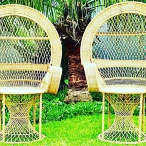 Peacock Chair Sell
