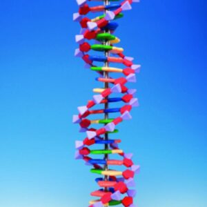 Protein Kit RNA12 PS