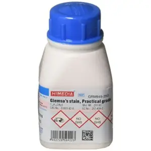 Prepared Giesma Stain