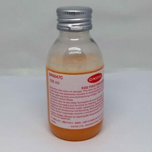 World Famous Tattoo Ink | Pancho Peach 30ml