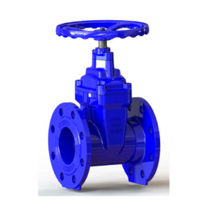 Gate Valve Resilient Seated 150Mm (6")