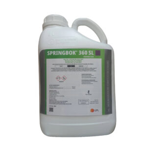 Springbok 5Lt